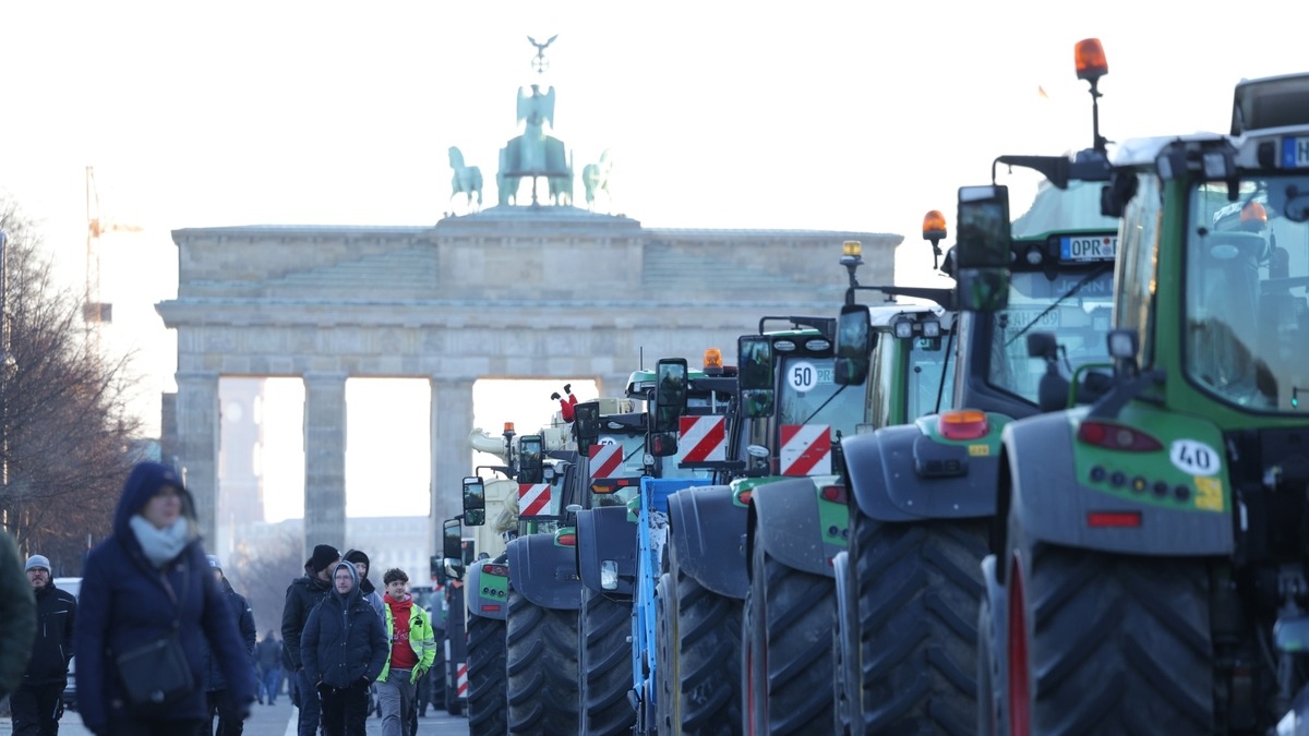 Farmers vs Davos: the final battle?